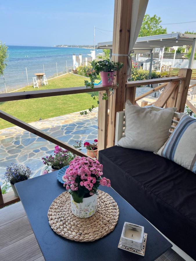 Beachfront Villa Athina Vergia Bagian luar foto