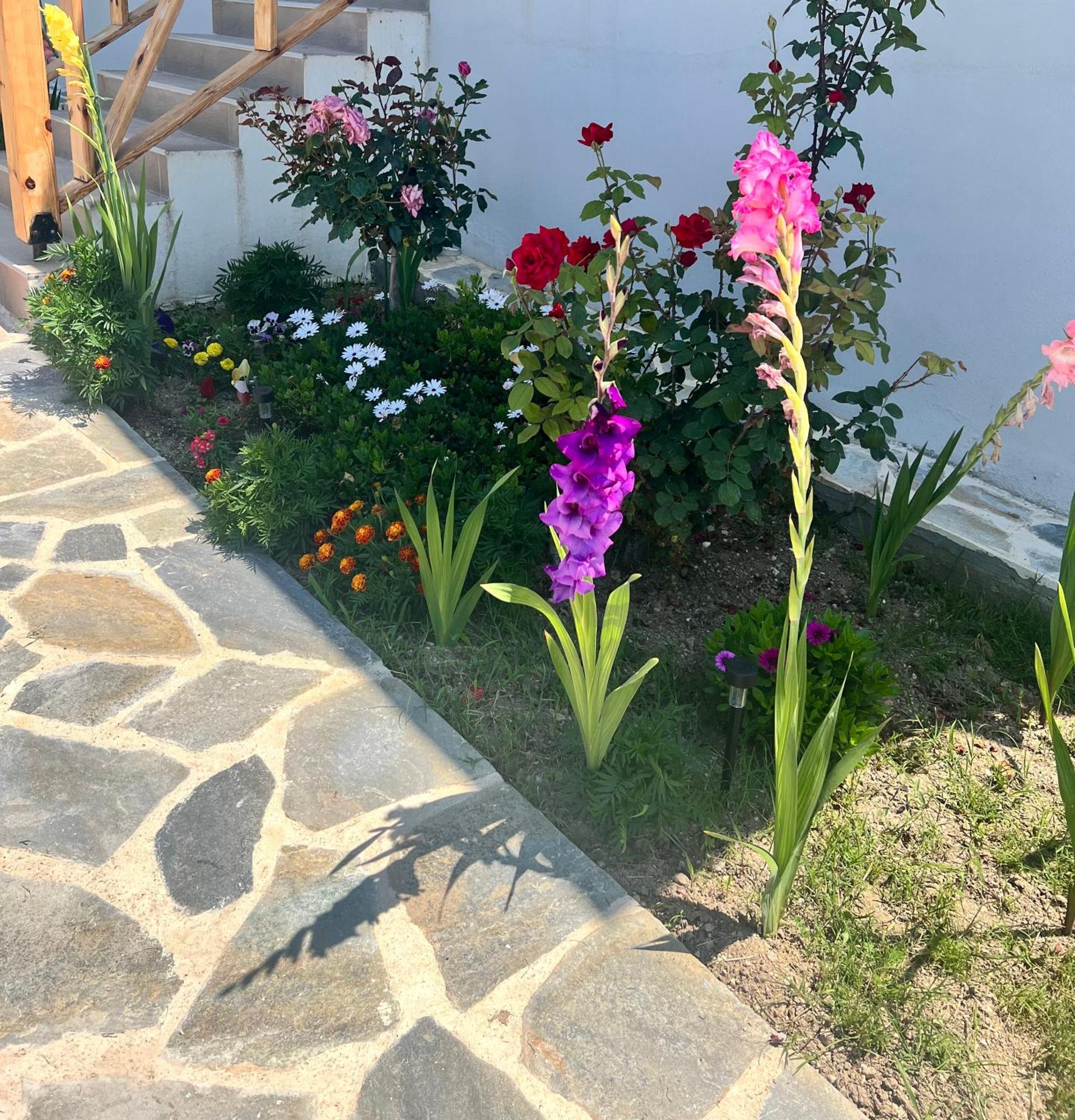 Beachfront Villa Athina Vergia Bagian luar foto